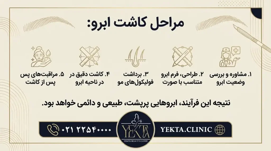 کاشت ابرو، کاشت ابرو پیروزی، کاشت ابرو طبیعی،